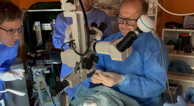 A világon először Szentesen ültettek be parlagi sasnak szemlencsét