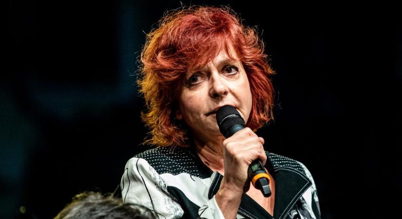 Hernádi Judit: Egyetlen normális reakció létezik a „mocskos Fideszre”