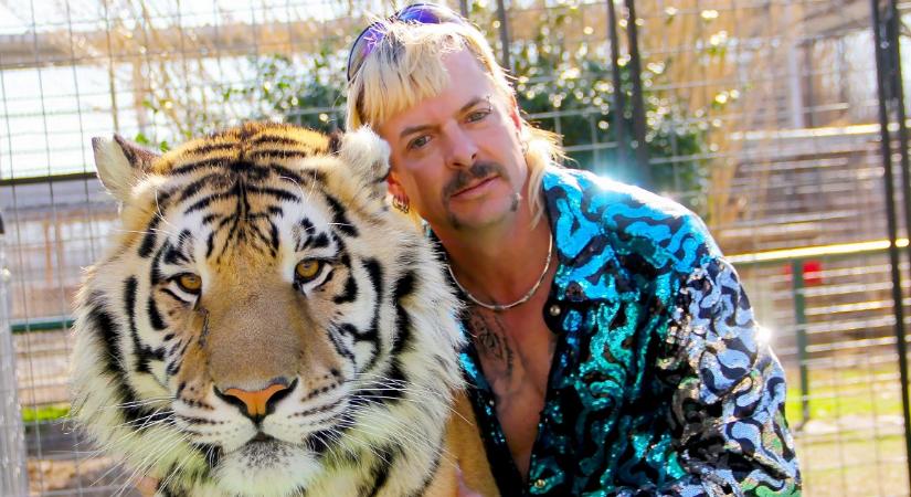 Kimentik a tigriseket Joe Exotic egykori, borzalmas állapotú állatkertjéből