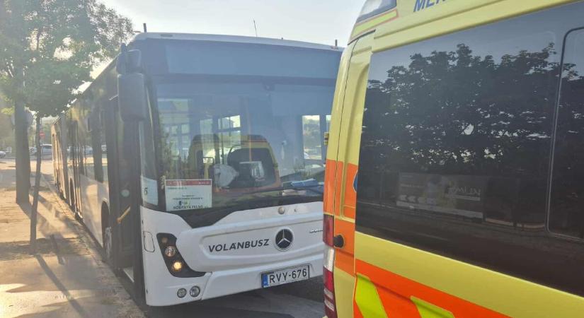 Most buszsofőrre támadt egy taxisállat