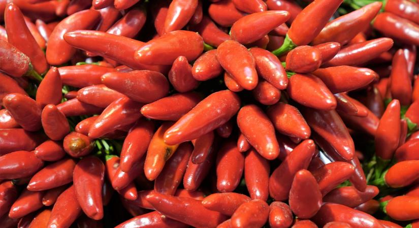 Egész Európát elárasztotta a kínai fűszerpaprika