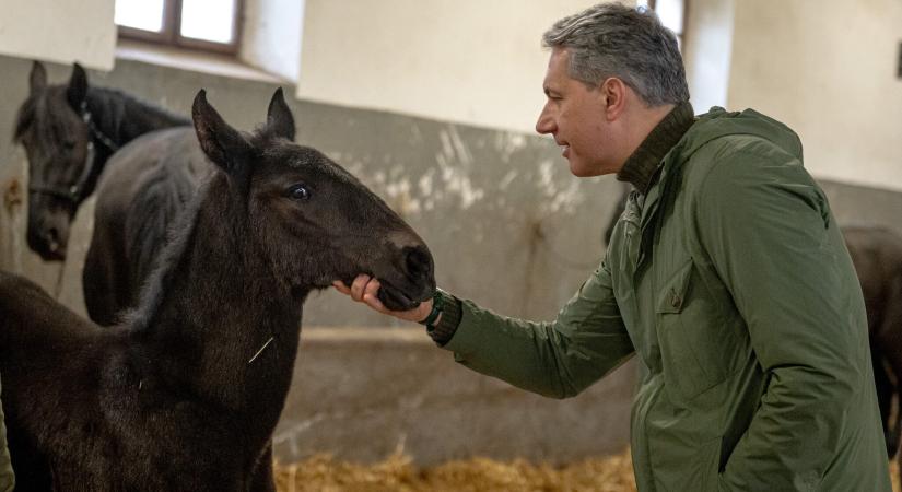Tiszteletbeli orosz konzul Pakson, Lázár János 81 éves nagybátyja a Ménesbirtokon
