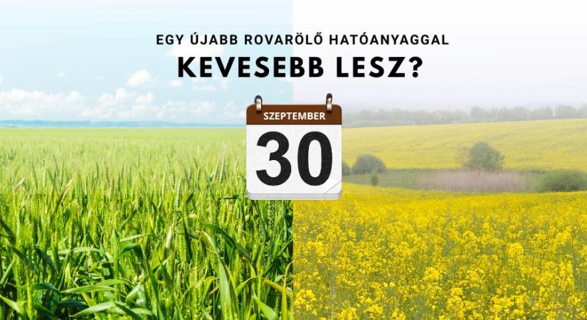 Egy újabb rovarölő hatóanyaggal kevesebb lesz? Most még beszerezheti!
