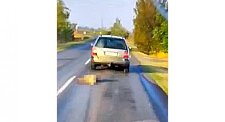 Kimagyarázta, így meglehetősen enyhe büntetést kapott a sofőr, aki autója után kötve, 95 km/órás sebességgel húzta a kutyáját