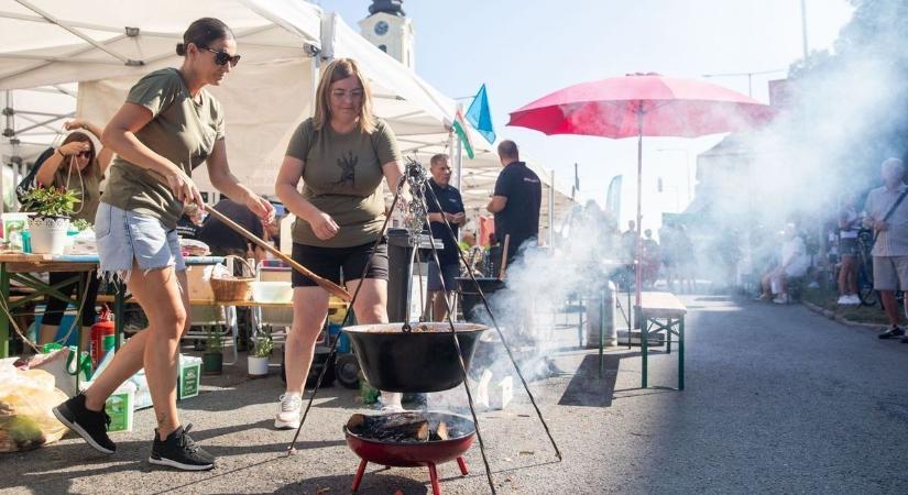 Táncoló sünök Zalaegerszeg fesztiválján! Vaddal, borral, jó kedvvel csábítanak