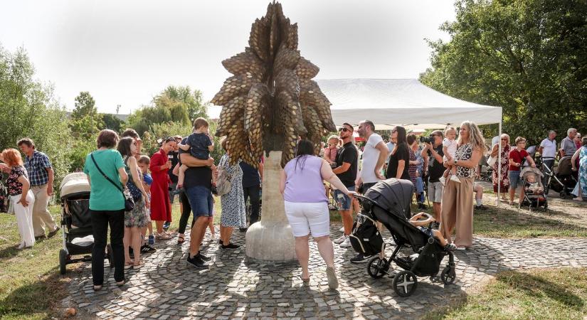 Újabb 70 levéllel gazdagodott a kaposvári életfa