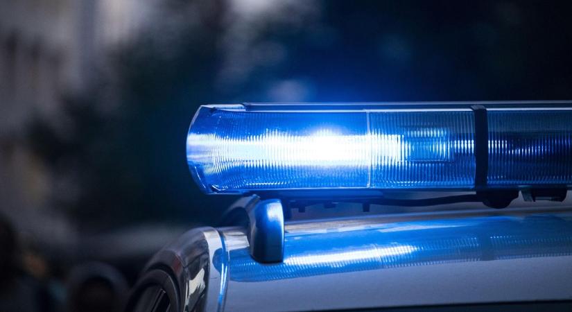 Vonóhorogra akasztva húzta a kutyáját autóval – megúszta a börtönt