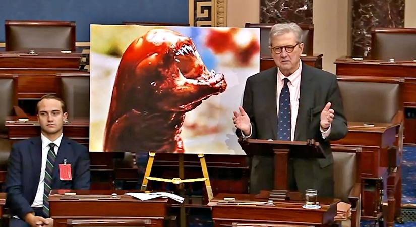 Napi WTF: "Ha radioaktív rákot eszünk, úgy fogunk kinézni, mint az alien" – bizonygatta egy amerikai szenátor a Kongresszus előtt, és még képet is mutatott a xenomorfról