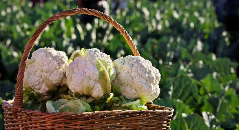 Döbbenetes, ennyiért árulnak egyetlen fej karfiolt a lengyel piacokon