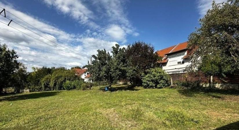 36 lábujj és 2 szempár a vízgyűjtő edényben, megdöbbentő, mik néztek vissza a hevesi hölgyre – fotóval