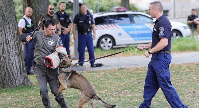 Robotkutyát is láthattak táncolni az Eszterházy téren - ismét sikert aratott a Szakmakör