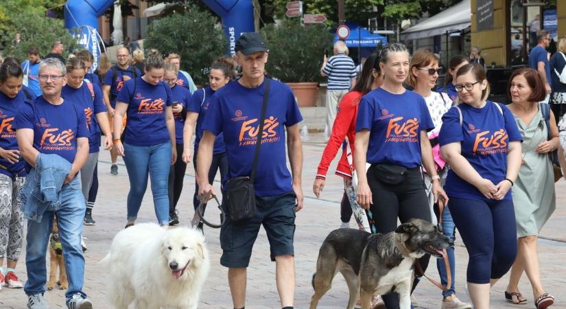Az életért fut Pécs - rákbeteg gyermekek gyógyítását támogatja az egyetemi rendezvény