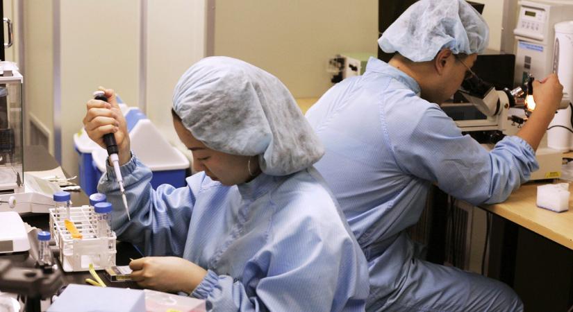 Egy ENSZ jelentés szerint Észak-Korea orvosi kísérleteket végez fogyatékkal élőkön