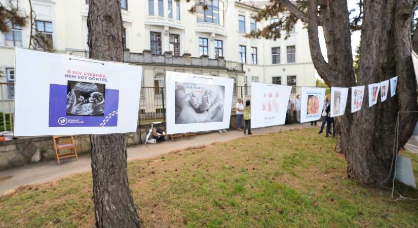 Negyven nap az életért – Szombathelyen az idén is kiállnak az élet védelmében