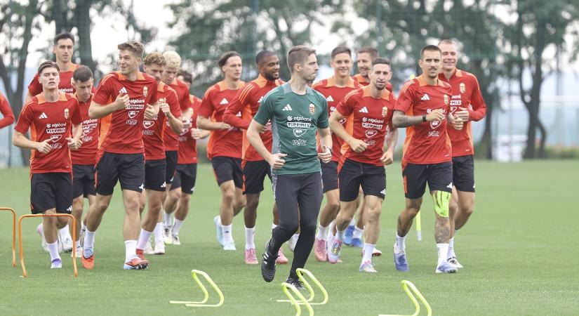 Magyar válogatott: Olvasóink ezzel a kezdővel mennének neki az írek elleni vb-selejtezőnek
