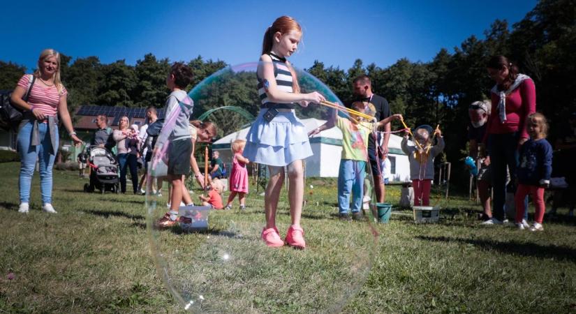 Ilyen volt idén a Zseboroszlán Alapítvány koraszülött PICnik-je: rengeteg fotót hoztunk