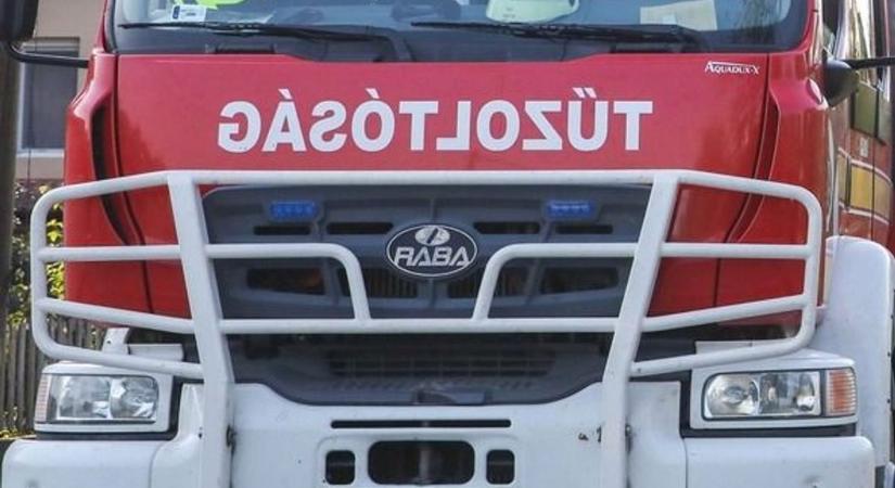 Több ezer négyzéternyi terület égett Alattyánon, gyorsan terjedtek a lángok