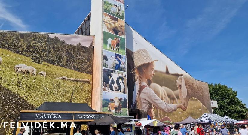 A nyitrai 50. Agrokomplex kiállításai képeken