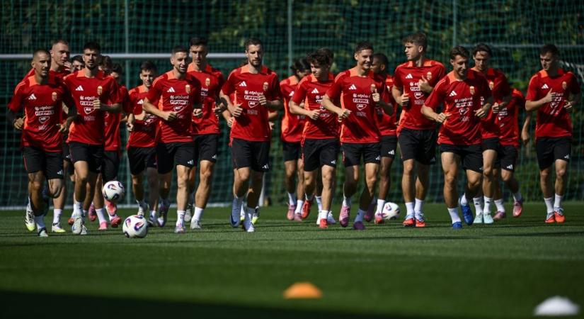 Vb-selejtező: Írország – Magyarország (élő)