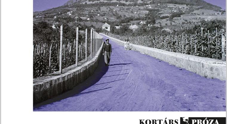 Tatay Sándor posztumusz kötete a Badacsony csodálatos világát idézi
