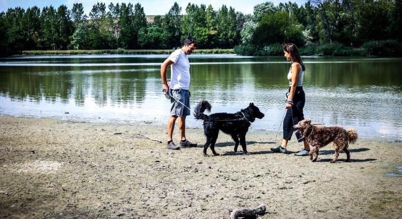 Rémisztő látvány fogadja a kedvelt tó látogatóit – fél méter víz hiányzik a mederből (képgaléria)