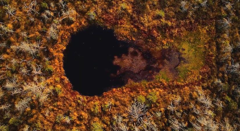Erdély legjei – Hargita megye: a Mohos-tőzegláp