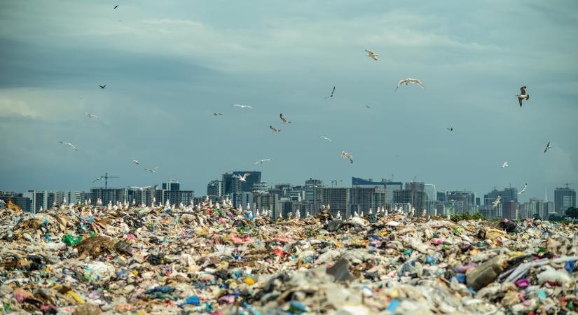 Döbbenetes: a Földön már több műanyag van, mint élőlény-biomassza