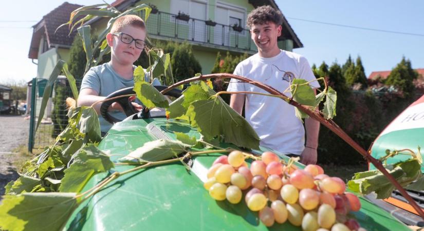 Éltetik a hagyományt – az önfeledt szórakozásról szólt a Hodászi Mustra