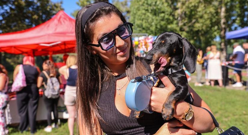 Bajnokokat avattak a 4. Győri Tacsi Talin - XXL galéria, videó