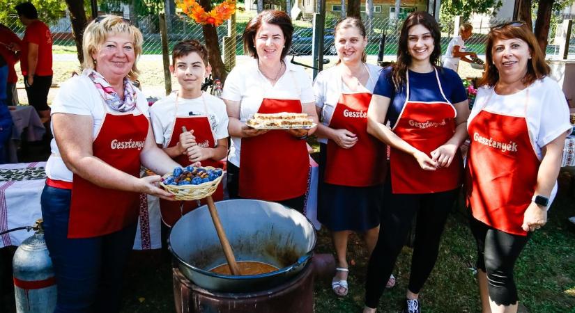 Gasztrokaland Zalában, ahol egyetemisták újragondolták a nagymama húsos káposztáját (galéria, videó)