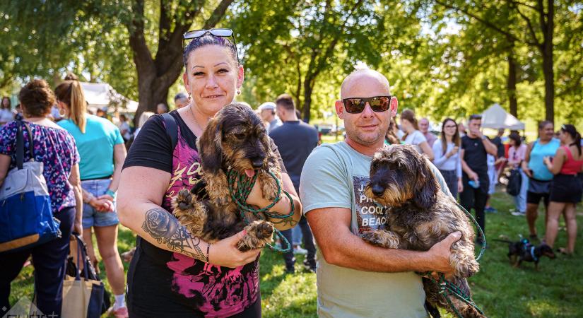 Vasárnap délután kiakadt a cukiságmérő! A IV. Tacsi Talin jártunk