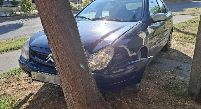 Fának hajtott, majd elfutott egy menekülő sofőr Cegléden