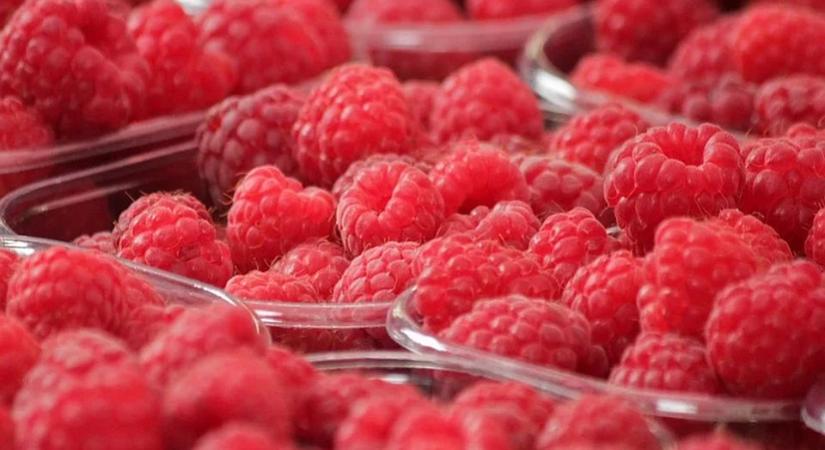 Új-Zélandon olcsóbb a málna, mint Szerbiában