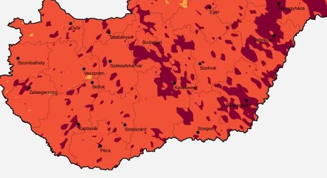 Tart a parlagfű csúcsszezon: egyre súlyosabb panaszokat okozhat a pollen