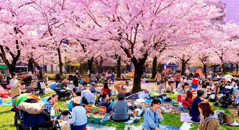 Kellemes meglepetést okozott a japán gazdaság