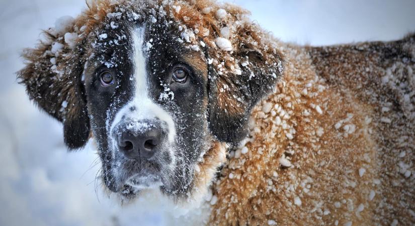Lefagytak a Microsoft rendszerei, -273 Celsius-fokos hideget jelzett reggel a Windows