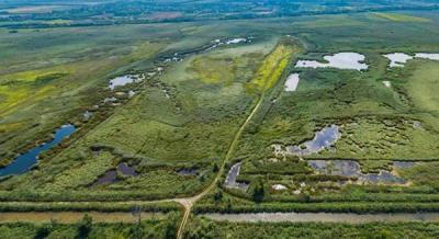 Mocsárvilág titkai: élményközpont épül a Balaton egyik legvadregényesebb táján