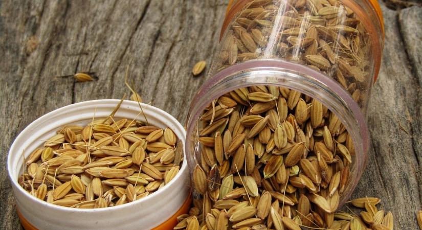 Módosul a termékpiaci törvény, egyre kisebb az esély a visszaélésre