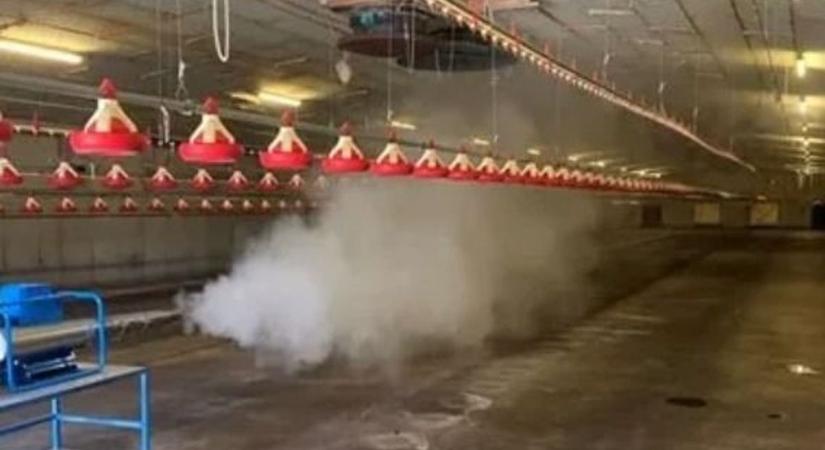 Itt a megoldás a kórokozók ellen, ami kíméletes az állati és az emberi szervezettel