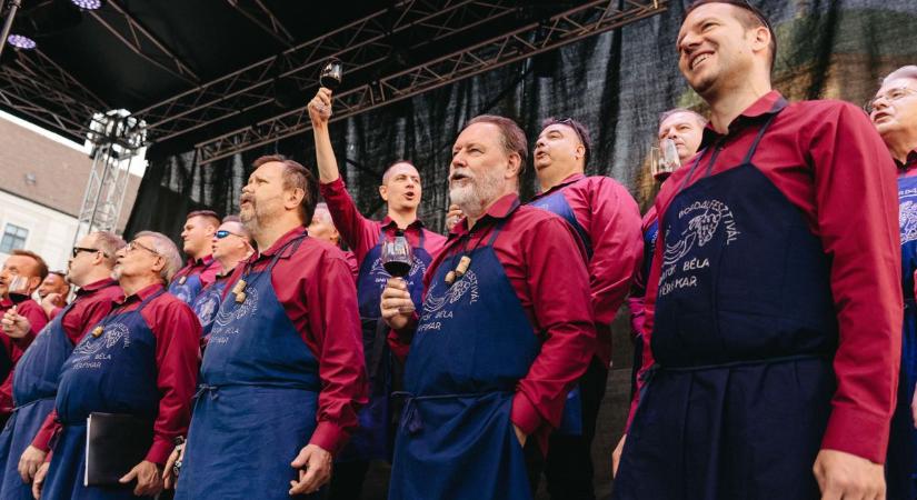 Jön az Európai Bordalfesztivál és Villányi Bormustra: itt a 2025-ös program!