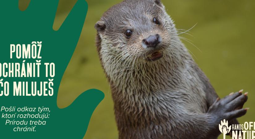 Az Európai Bizottság egyszerűsítené a környezetvédelmi előírásokat, a természetvédők katasztrófától tartanak