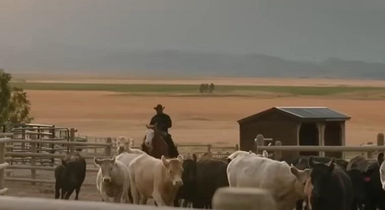 Rendkívüli hír jött a Yellowstone spinoff-sorozatáról