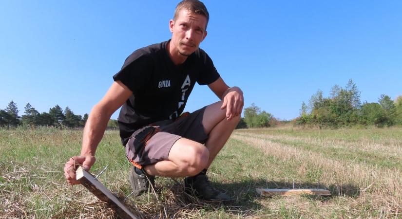 Szöges csapdákat rejtett a csermajori rét - Ádámékkal nagyobb baj is történhetett volna - fotók
