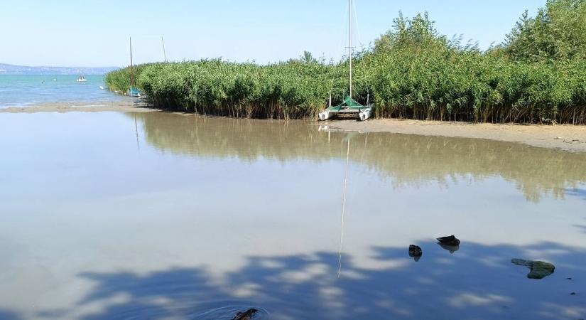 Ez már szörnyű! Iszapba ragadt, vagy homokpadon fennakadt hajók a Balatonon