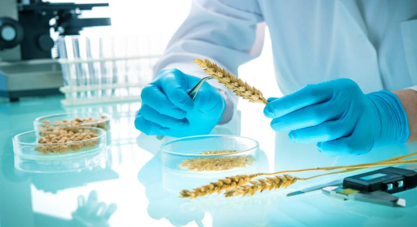 Genetikai összetétel meghatározása biológiai mintából CHGENE laboratórium Győrben
