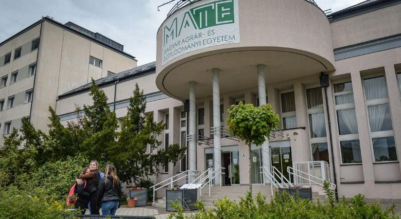 Ha ezen a vizsgán buksz, semmi következménye nem lesz