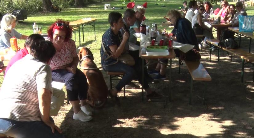 Piknikeztek a Tiszások