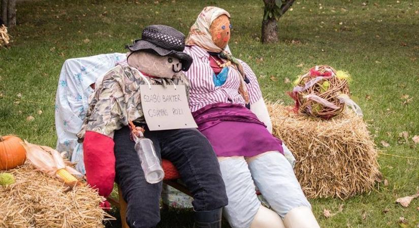 Maroshegyi Böndörödő 2025 Székesfehérvár