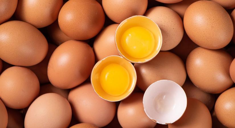 Honnan jön hirtelen ennyi tojás az Európai Unióba?