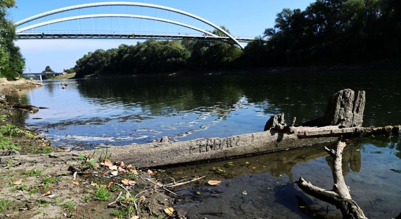 Különös felirat olvasható a Tisza mélyéről előbukkant, rejtélyes roncson – galériával